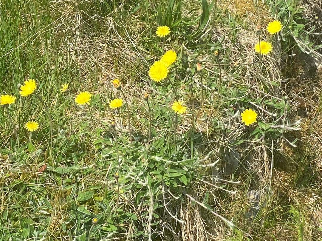 Grimwith Reservoir-斯基普顿必去景点