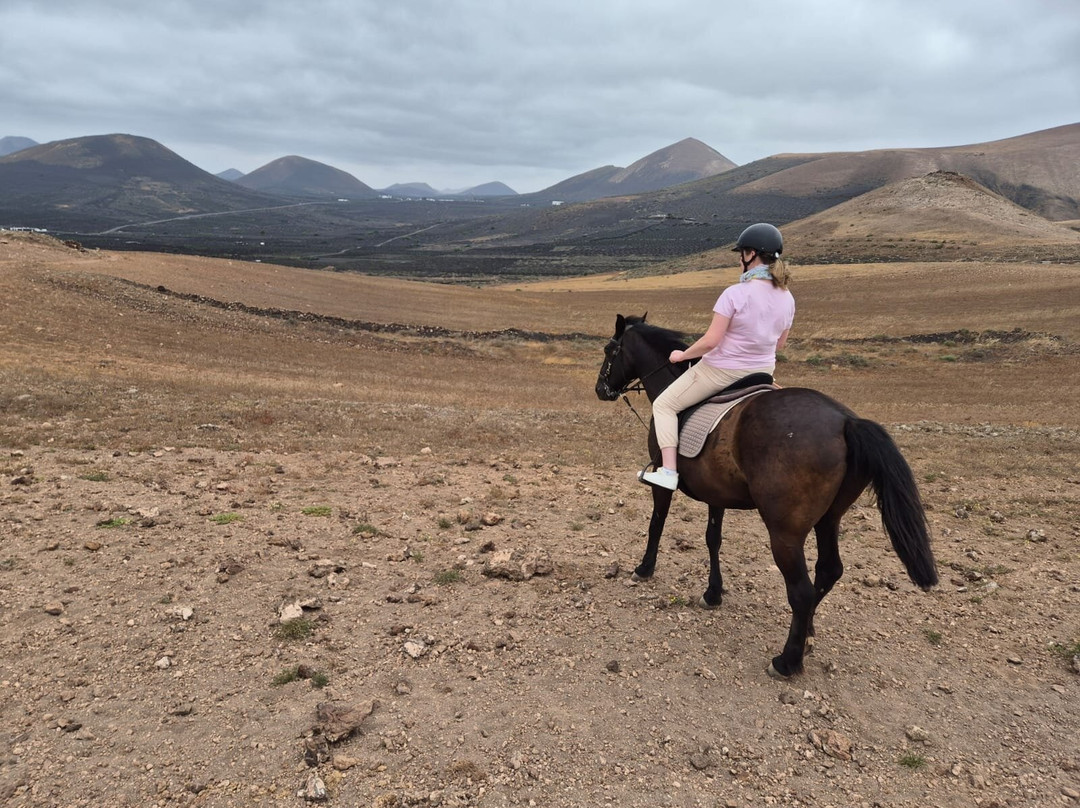 Lanzarote a Caballo-兰萨罗特必去景点