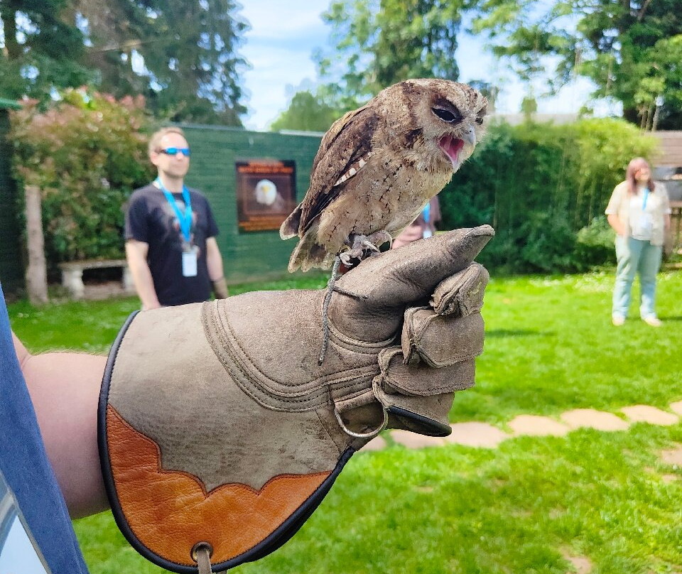 The Falconry Centre-Hagley必去景点