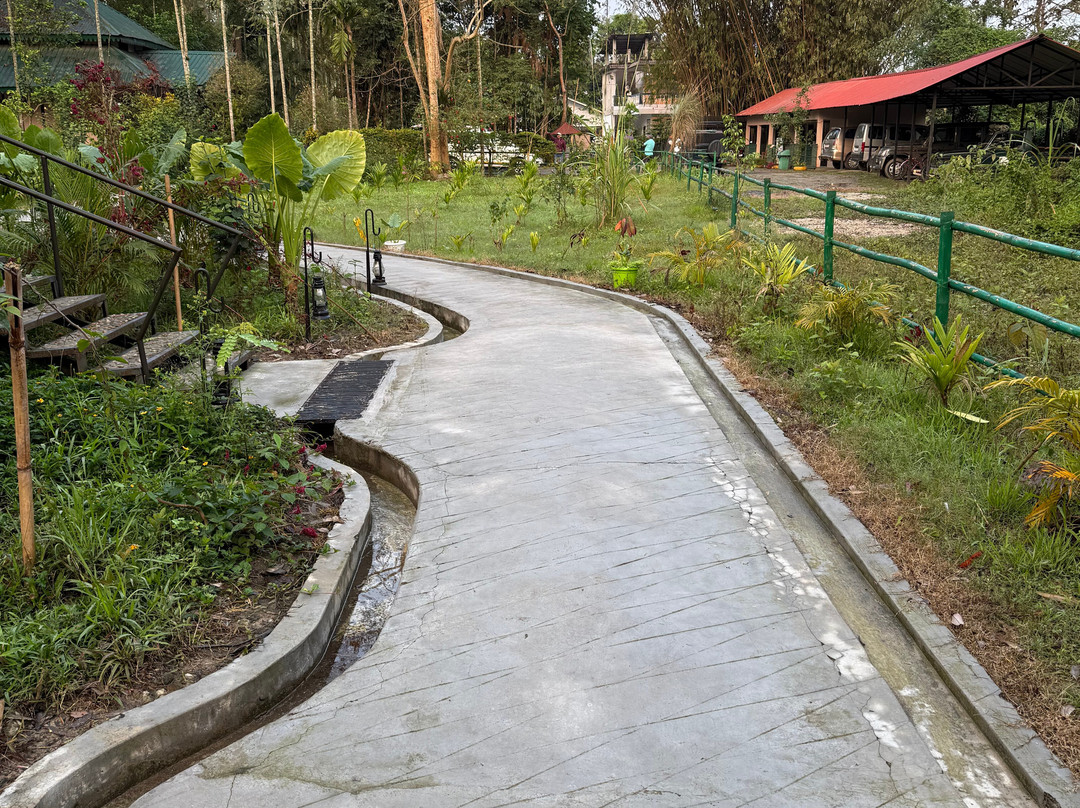 Infinity Resorts Kaziranga主图