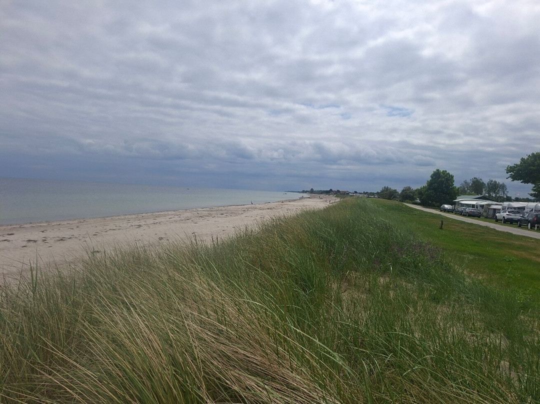 Campingplatz Seekamp