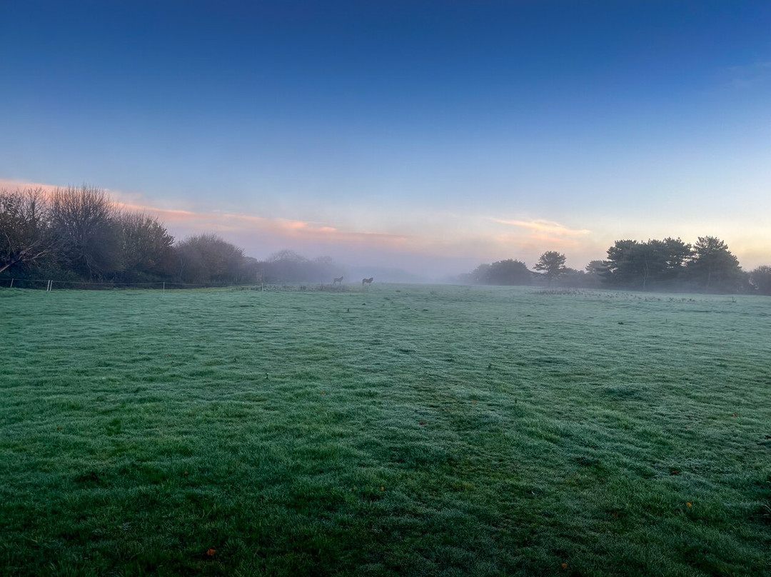 Gayles Retreat: Walking, Yoga, and Meditation