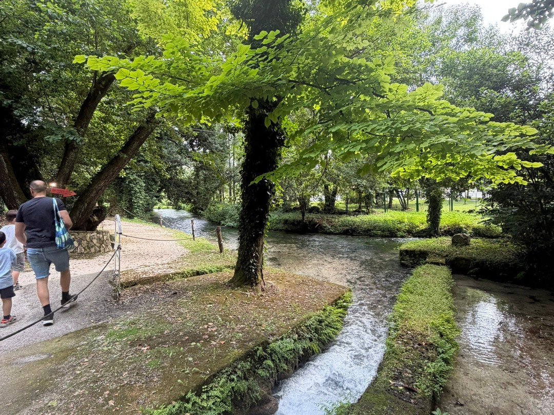 Il Bosco delle Favole-卡西诺必去景点