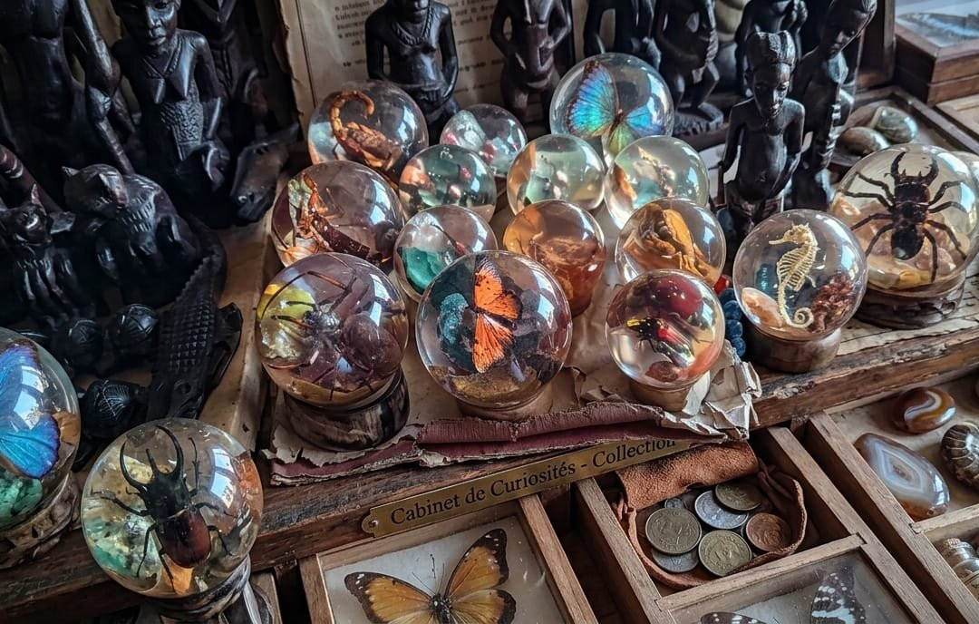 Digue Market-安塔那那利佛必去景点