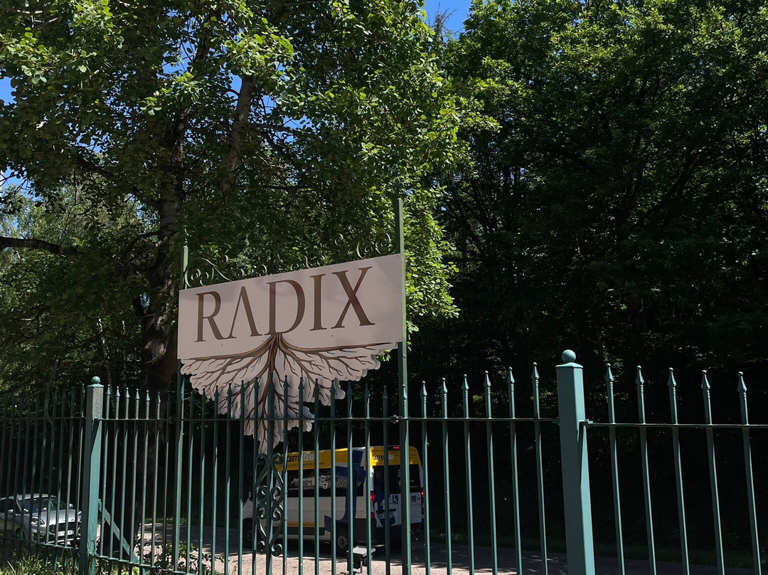 Radix