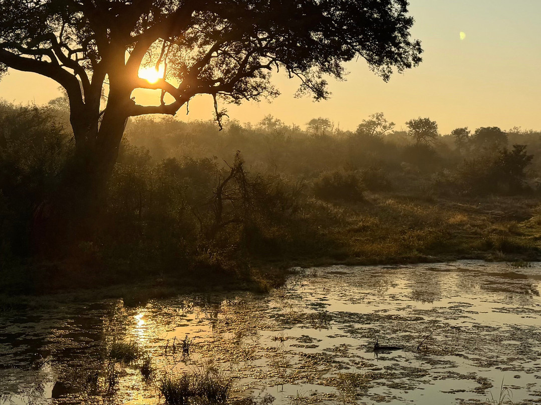 Southern Kruger Safaris-玛洛斯帕克必去景点