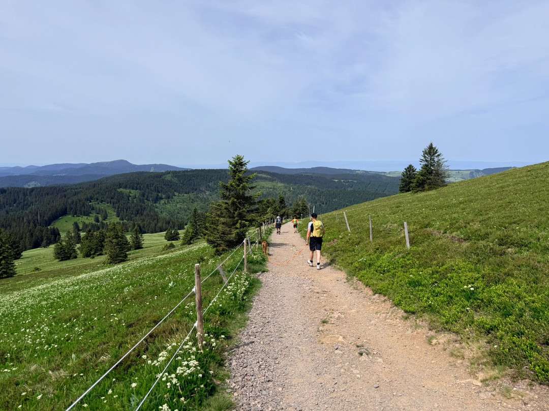 Landgasthof Zum Dorfkrug主图