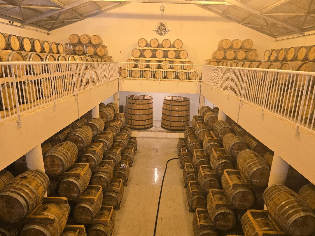 Distillerie Bologne-Basse-Terre必去景点