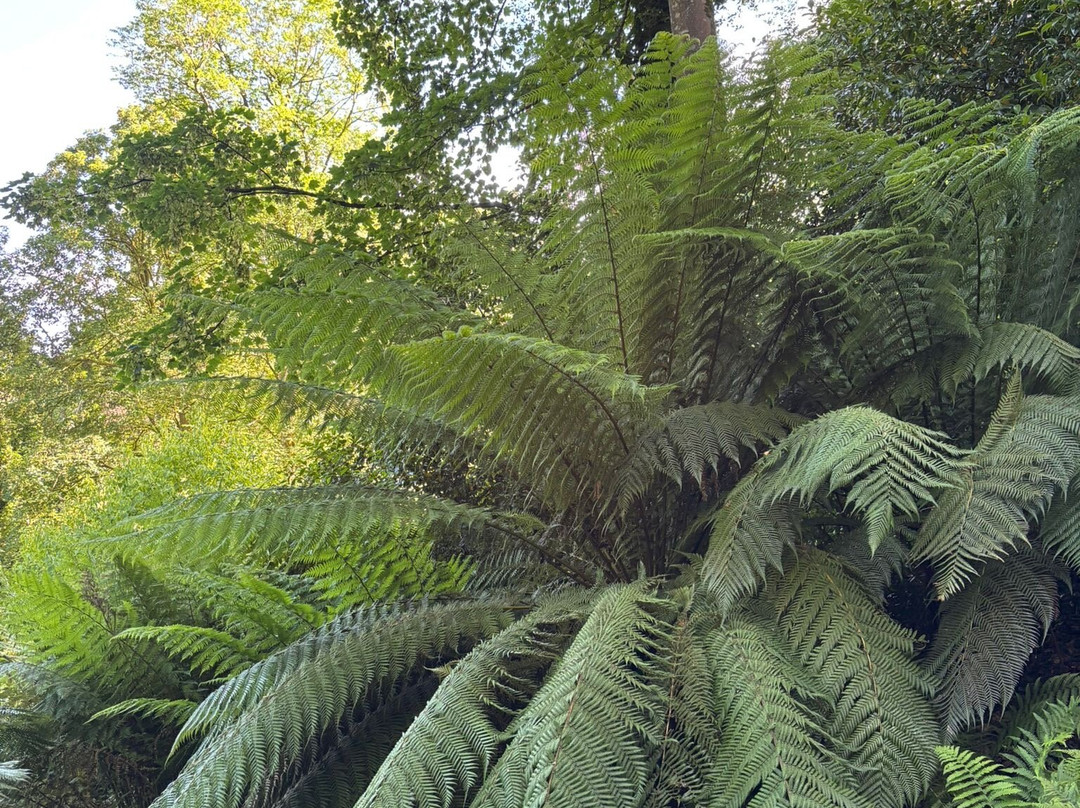 Plas Cadnant Hidden Gardens-Menai Bridge必去景点