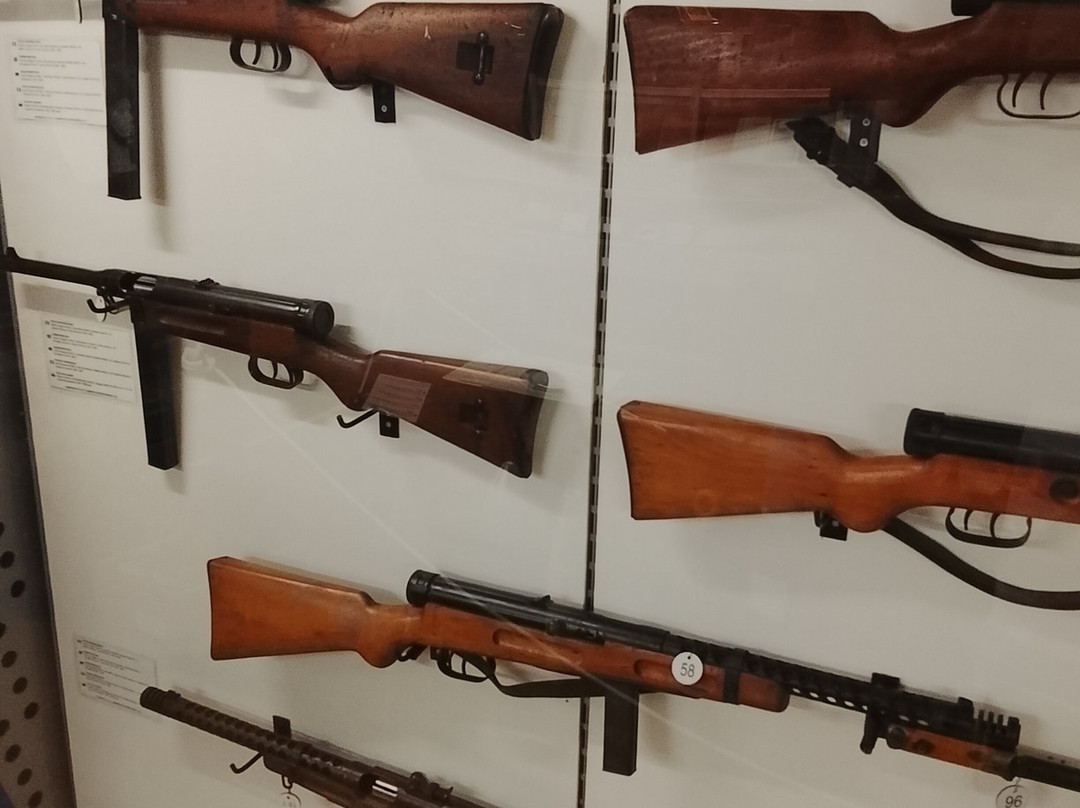 Museo Storico Militare Vidotto-耶索洛必去景点