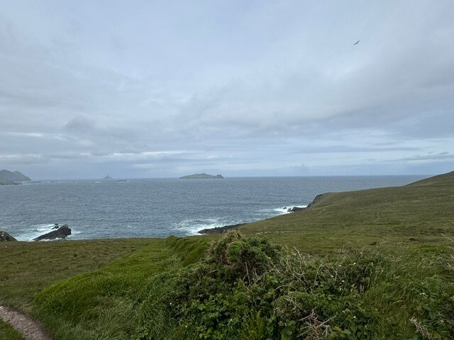 Love Irish Tours-都柏林必去景点