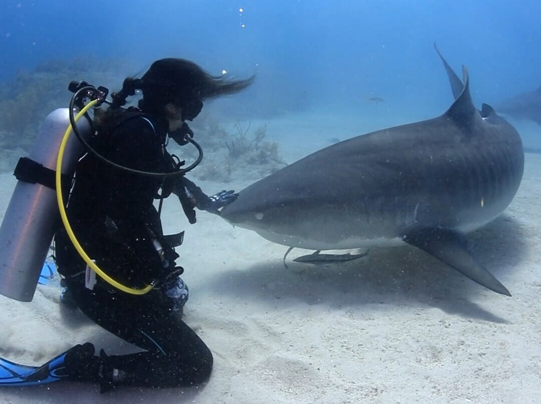 Epic Diving-West End必去景点