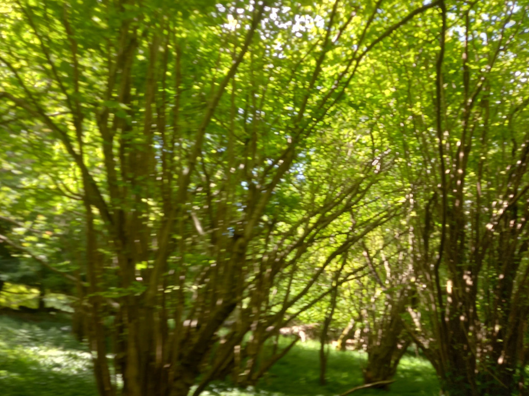 Watlington Hill-Watlington必去景点