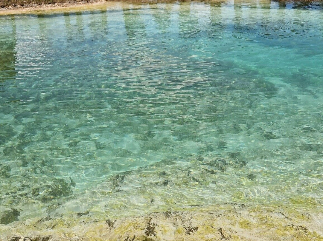 Stromatolites in Bacalar Rapids-Bacalar必去景点