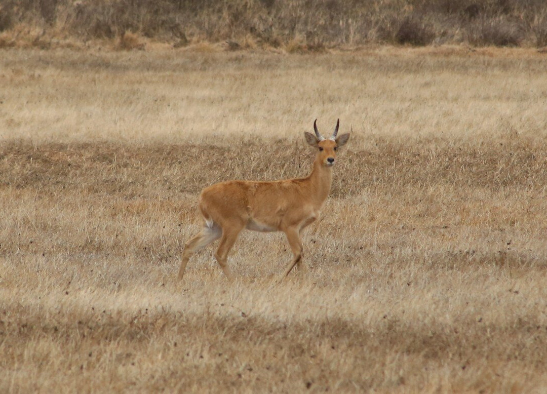Bale Mountains National Park-Goba必去景点