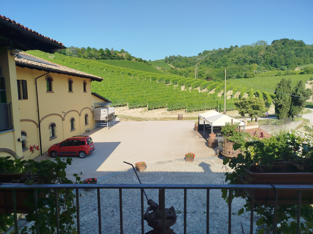 Costa di Bussia - Tenuta Arnulfo-蒙福特-达尔巴必去景点