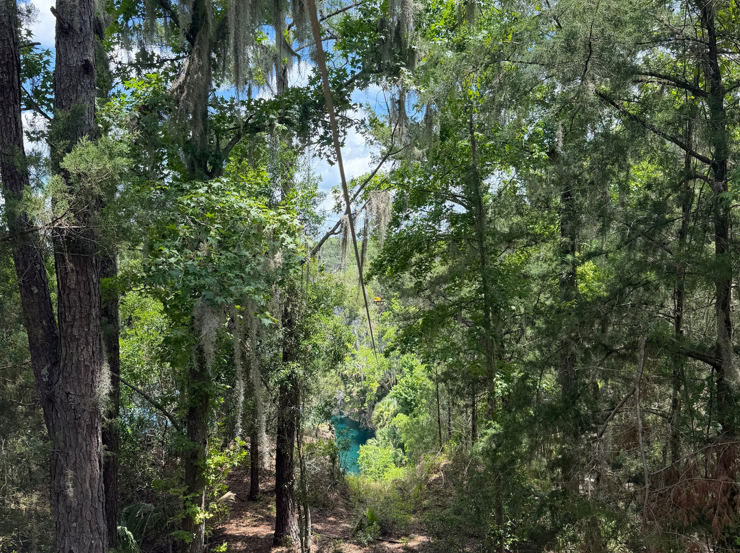 Canyons Zip Line & Canopy Tours-奥卡拉必去景点