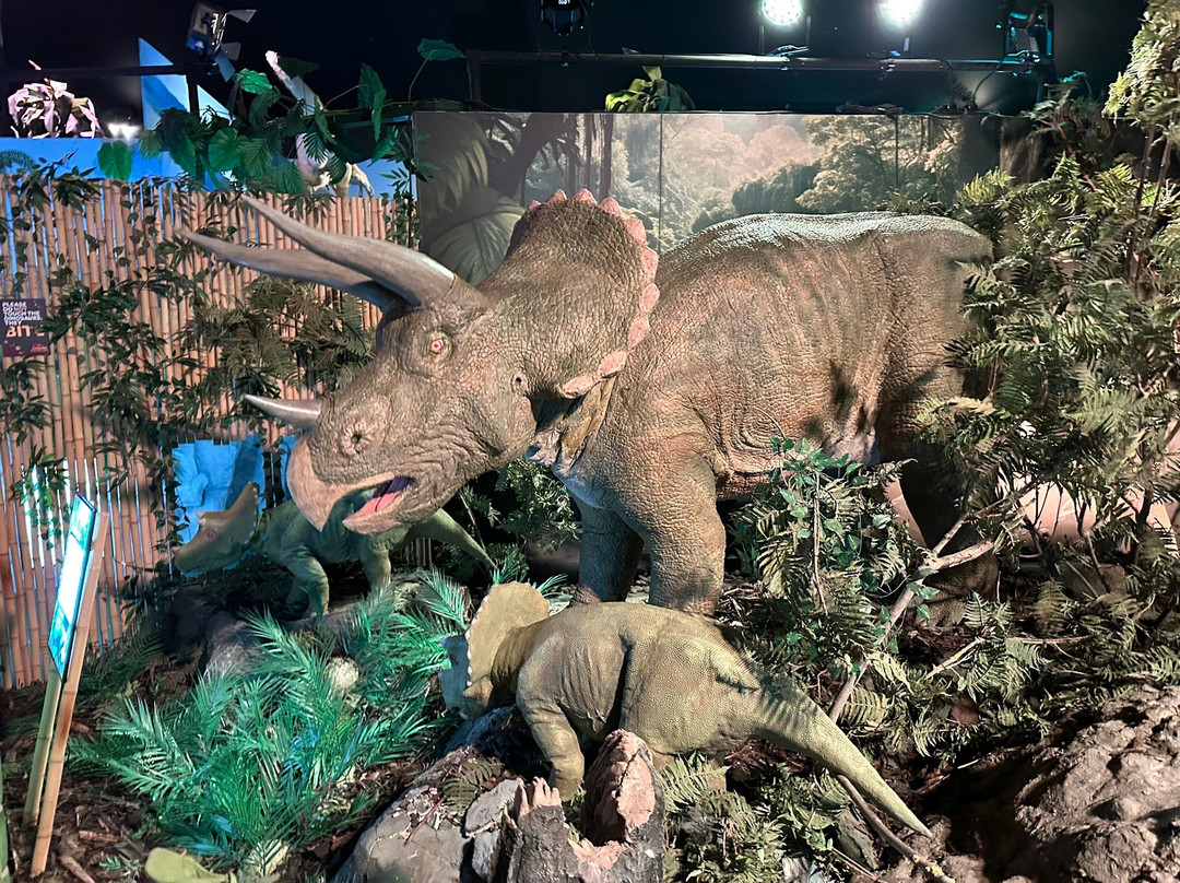 Jurassic Discovery-Seaton必去景点