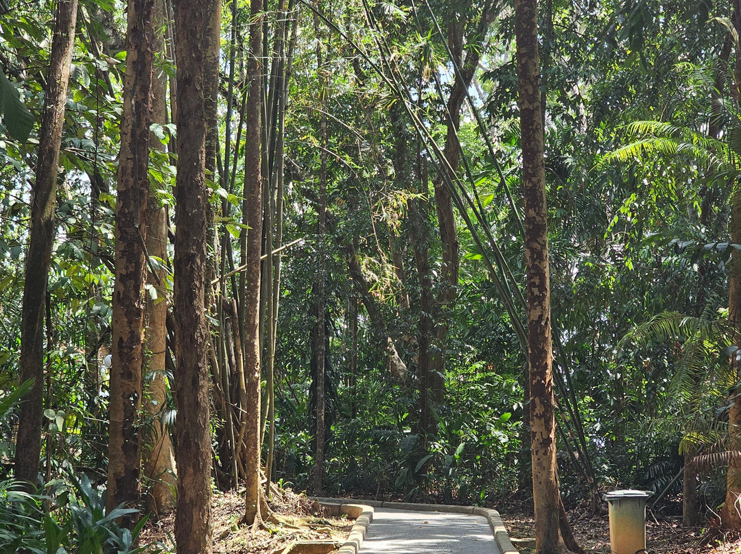 Escape Trekking Adventures-尼尔森湾必去景点