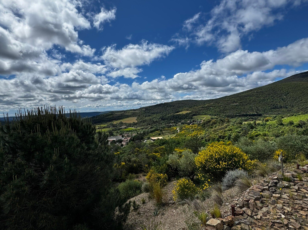 Domaine de Cambis-Berlou必去景点