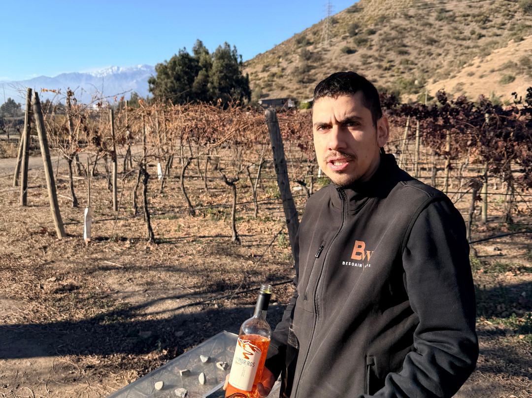 Besoain Wines-Pirque必去景点