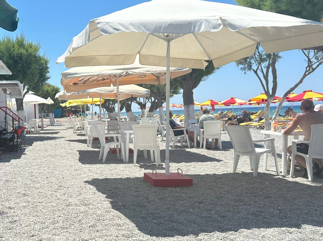 Cantina Paradise