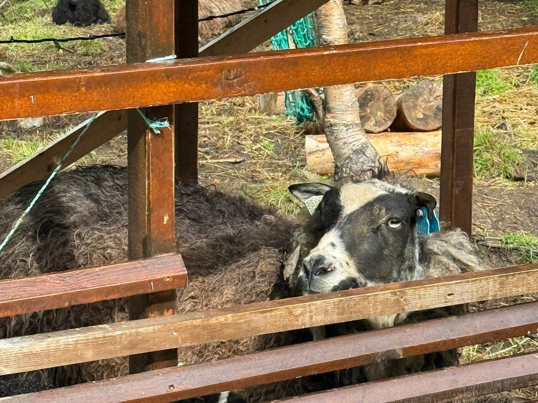 邦裘非尔高山旅馆主图