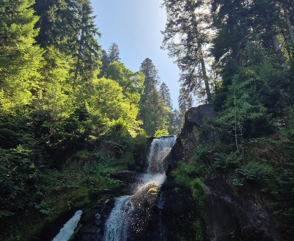 Triberg Waterfalls-特里贝格必去景点