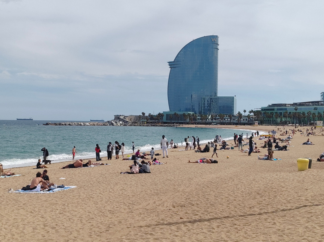 Bogatell Beach-巴塞罗那必去景点