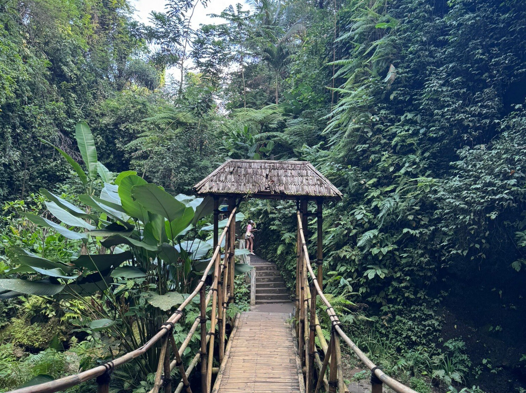 Happy Bali Tours-乌布必去景点