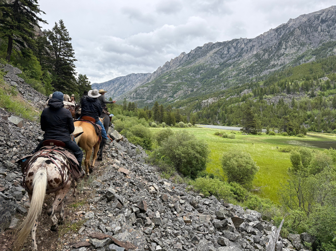 Yellowstone Horse And Mule-雷德洛治必去景点