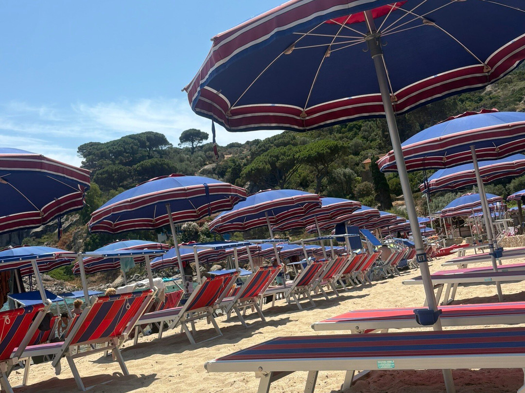 Spiaggia Arenella-Isola del Giglio必去景点