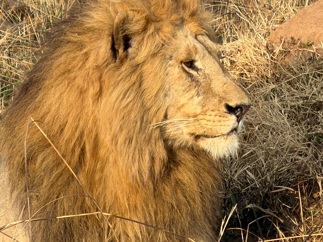 Brighte Maasai Adventures-Mara North Conservancy必去景点