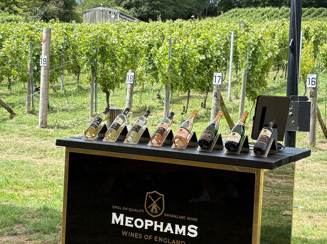 Meopham Valley Vineyard-Meopham必去景点