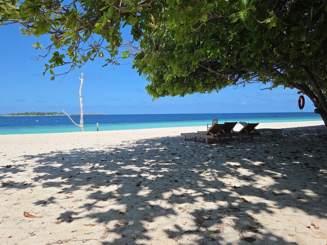 Kamadhoo Inn主图