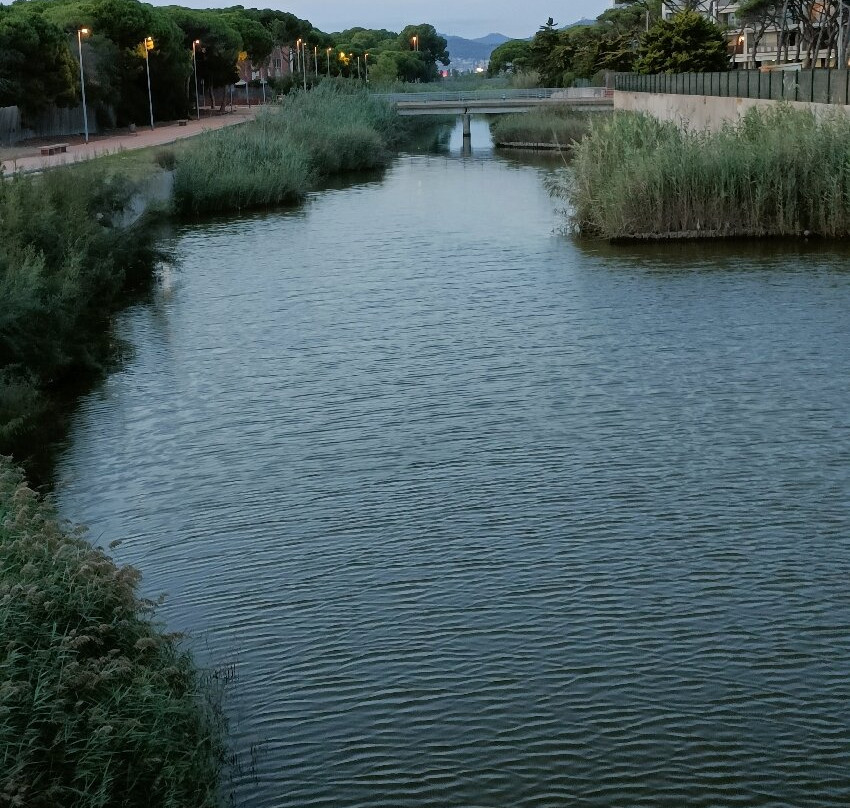 Playa Gavà-加瓦必去景点