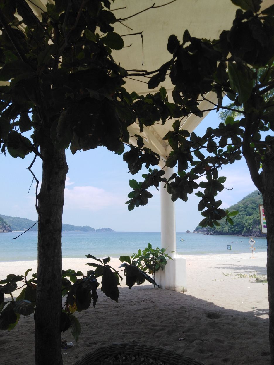派克金沙酒店-旅行者