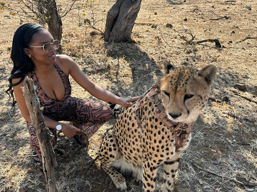 Supertime African Tours-约翰内斯堡必去景点