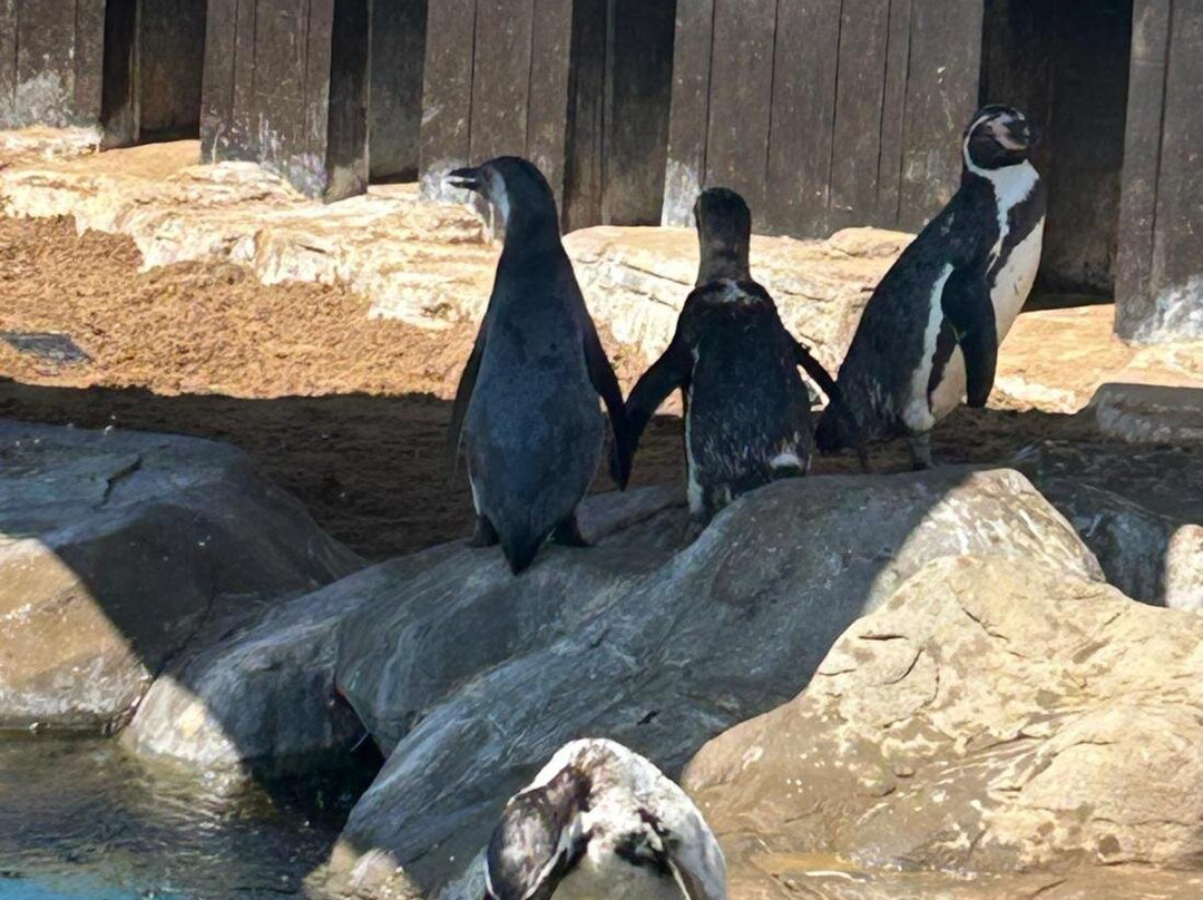 Sea Life Scarborough-斯卡伯勒必去景点