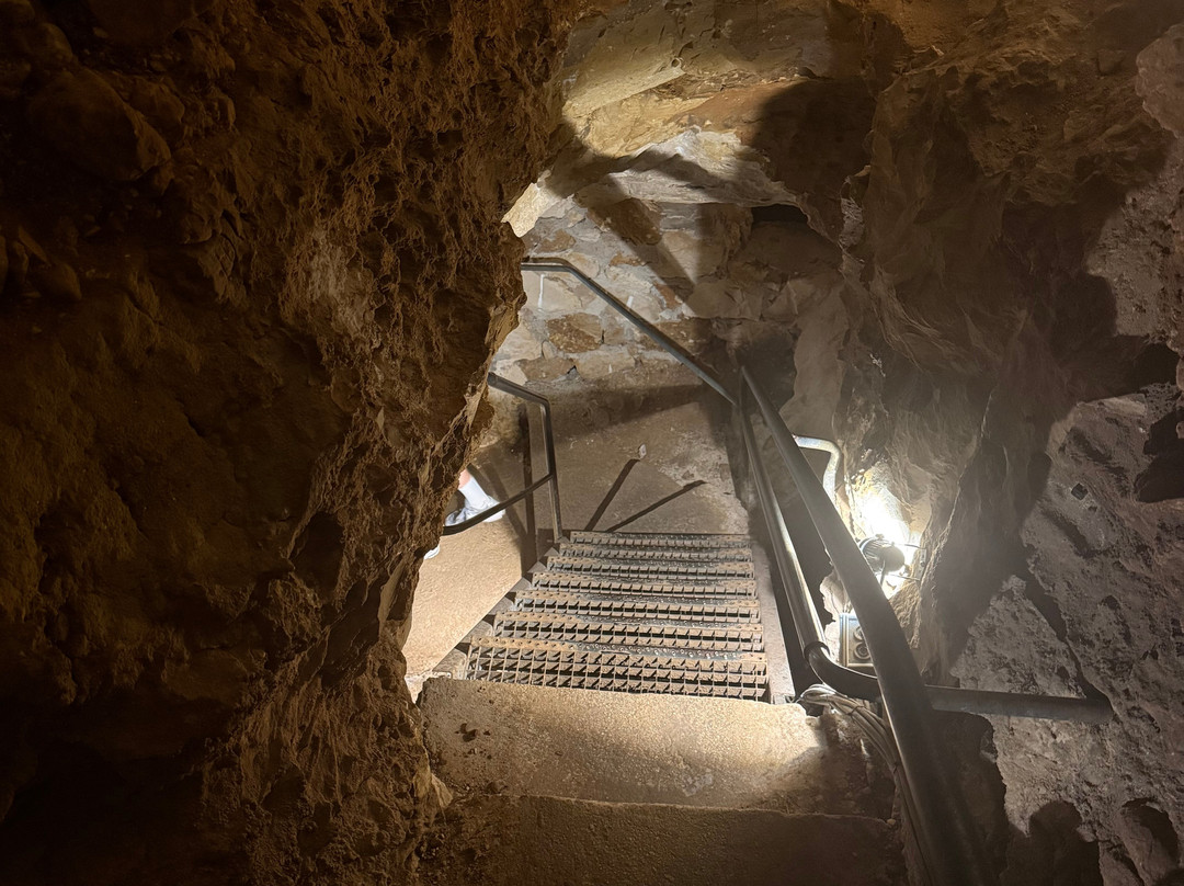 Grotte de Baume Obscure-Saint-Vallier-de-Thiey必去景点
