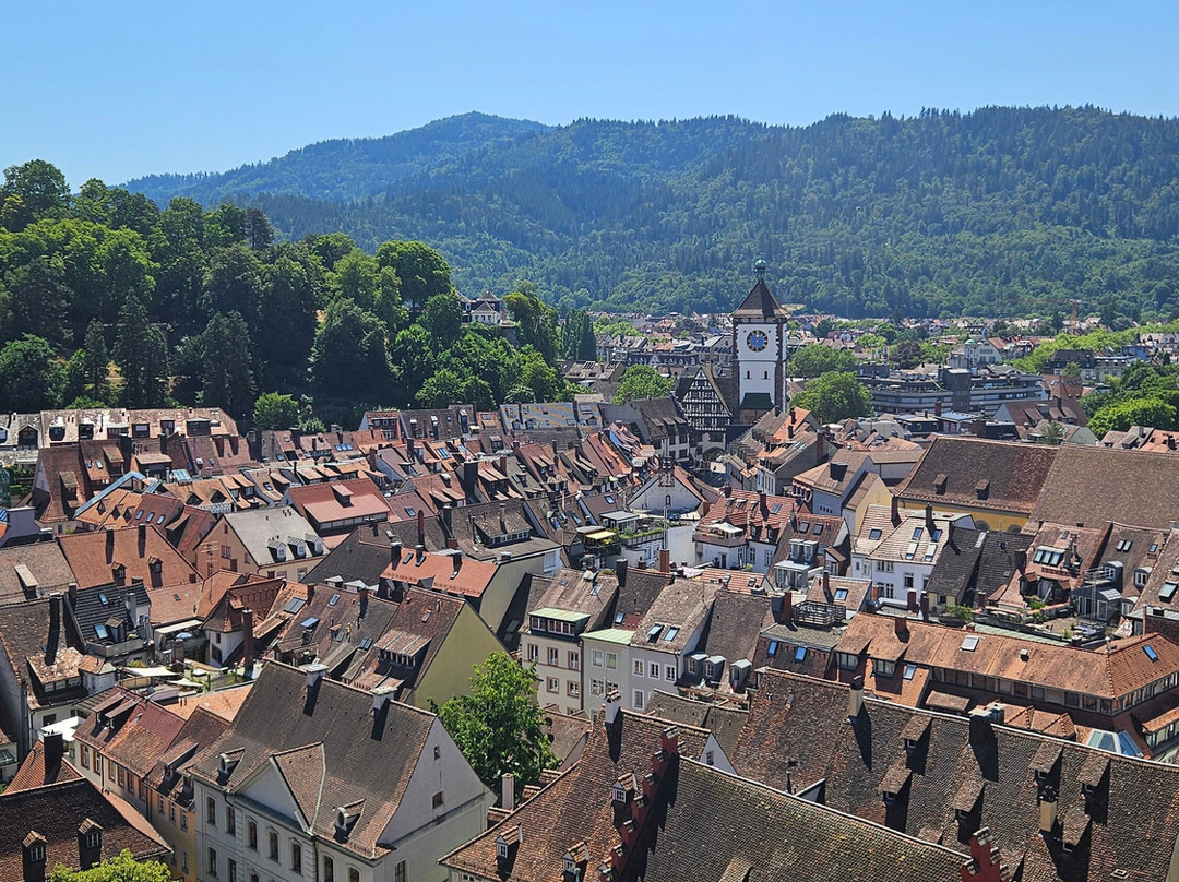 Freiburg Cathedral-佛莱堡必去景点