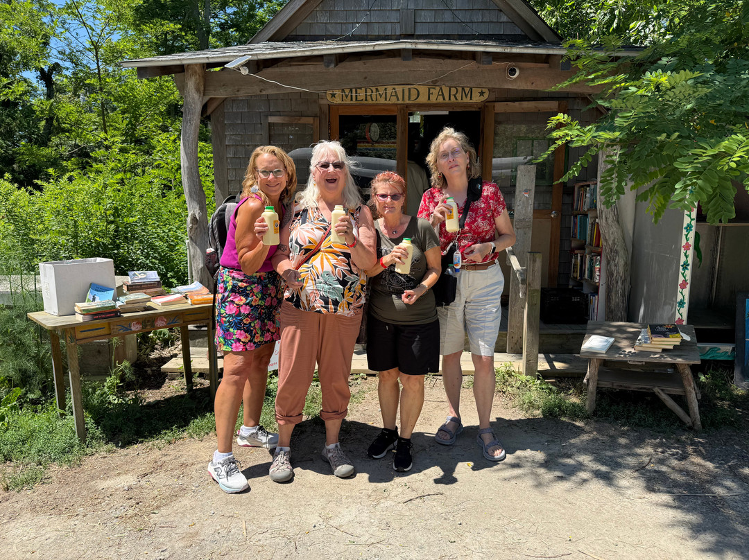 Martha's Vineyard Tours and Excursions-Vineyard Haven必去景点