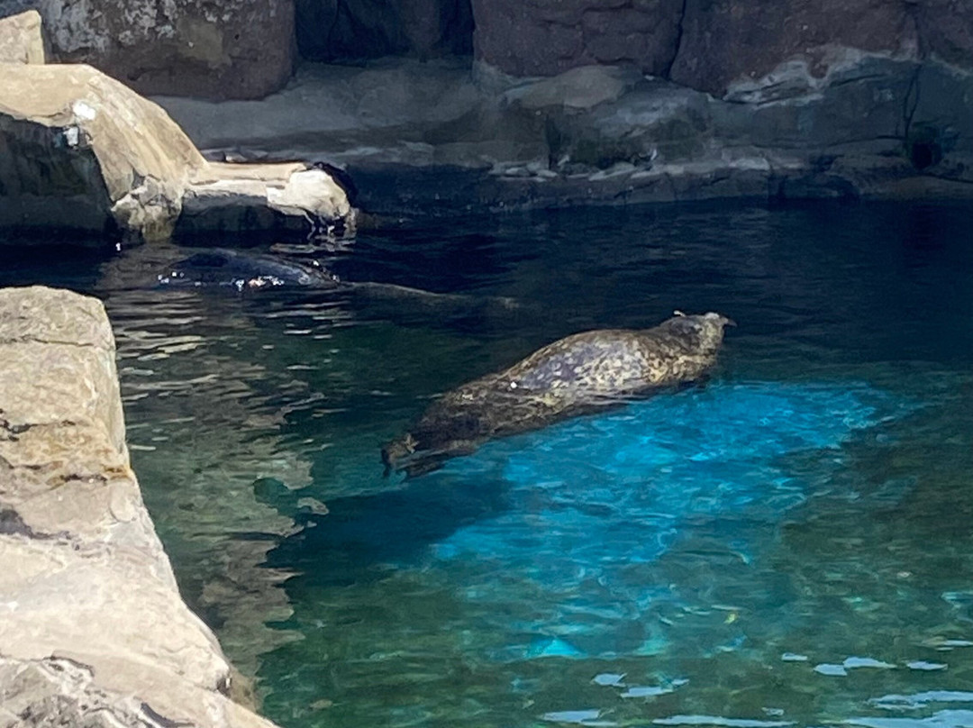Sea Life Scarborough-斯卡伯勒必去景点