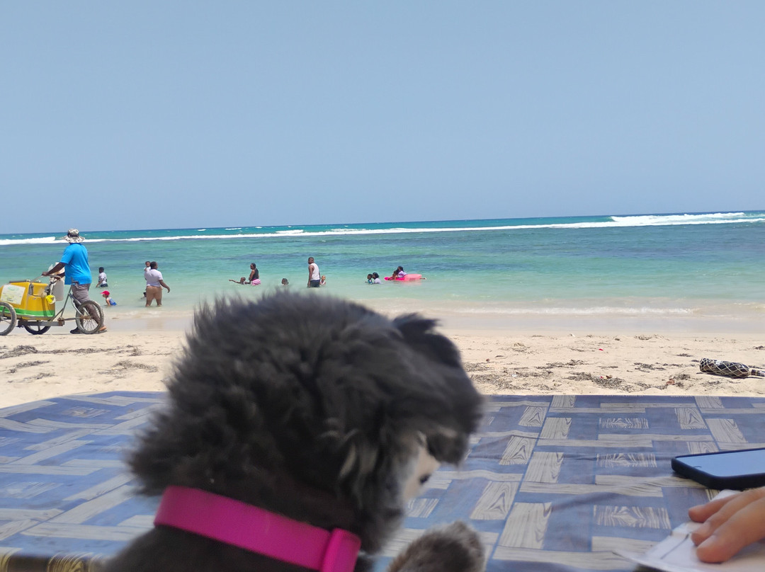 Playa Guayacanes-Guayacanes必去景点
