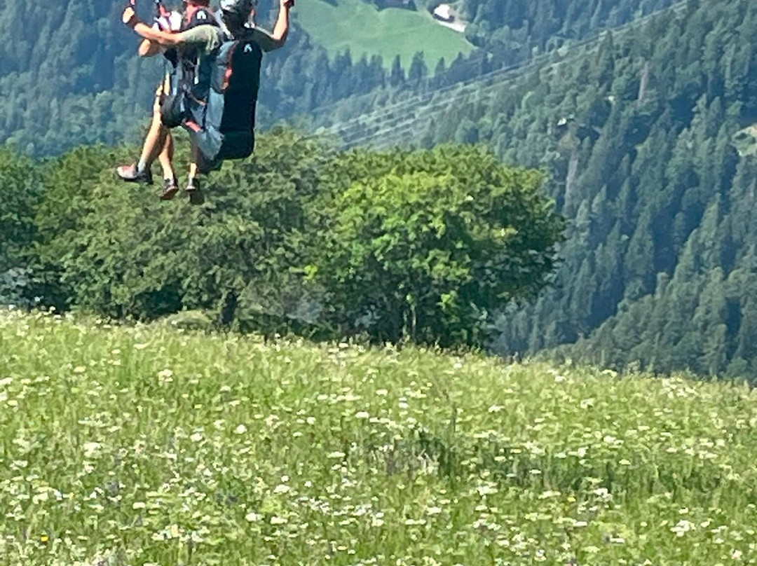 Fly42 - Flieg Mit Peter - Tandem Paragliding-San Martino in Passiria必去景点