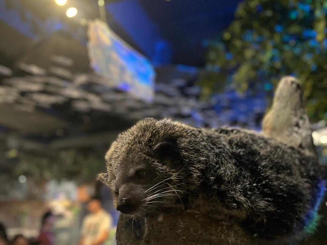 Jakarta Aquarium & Safari-雅加达必去景点