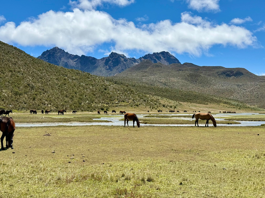 Cotopaxi National Park-Cotopaxi Province必去景点