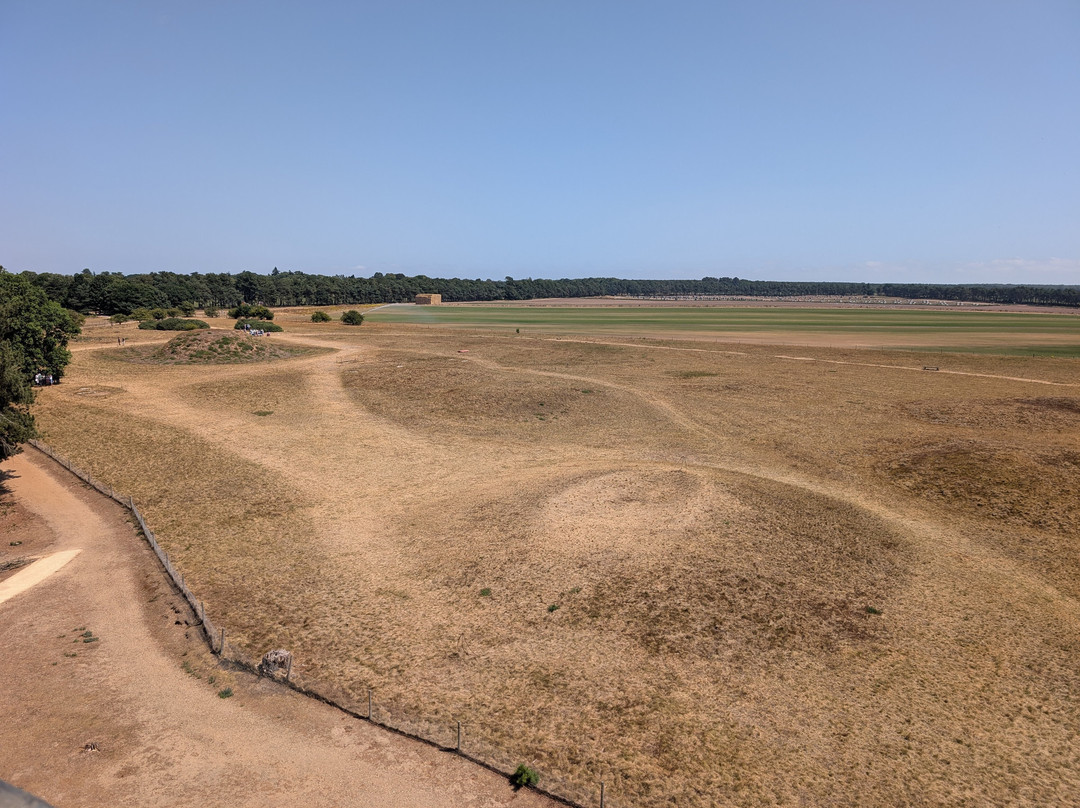 Sutton Hoo-Woodbridge必去景点