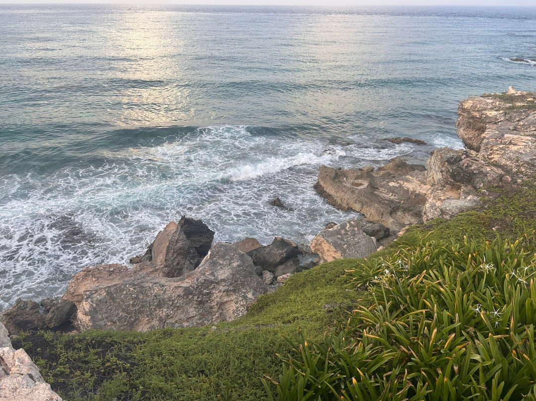 Punta Sur-女人岛必去景点