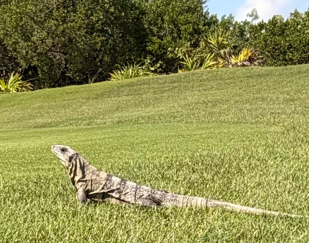 Playa Mujeres Golf Club-Punta Sam必去景点